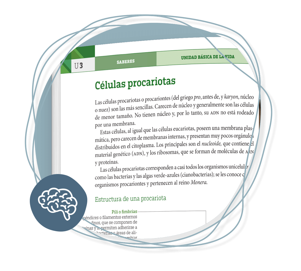 Saberes